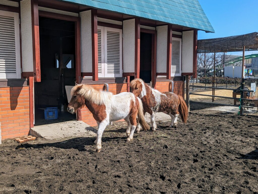 3歳児と「あらかわ遊園」で遊んできたレポ②【どうぶつ編】