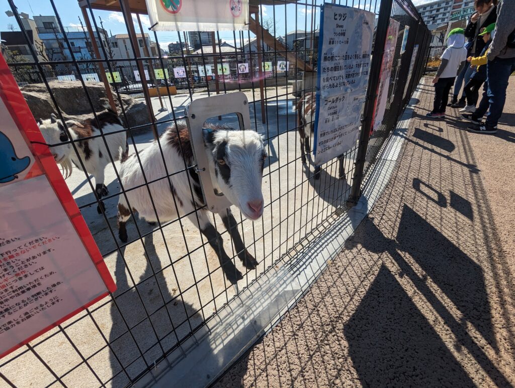 3歳児と「あらかわ遊園」で遊んできたレポ②【どうぶつ編】