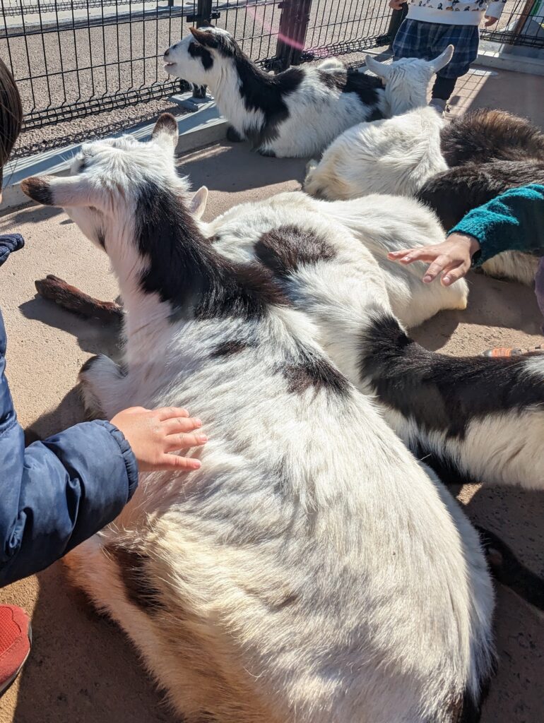 3歳児と「あらかわ遊園」で遊んできたレポ②【どうぶつ編】