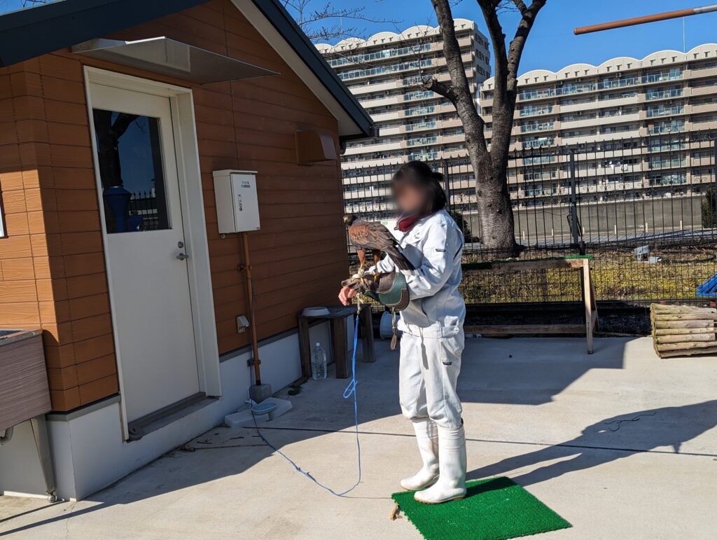 3歳児と「あらかわ遊園」で遊んできたレポ②【どうぶつ編】