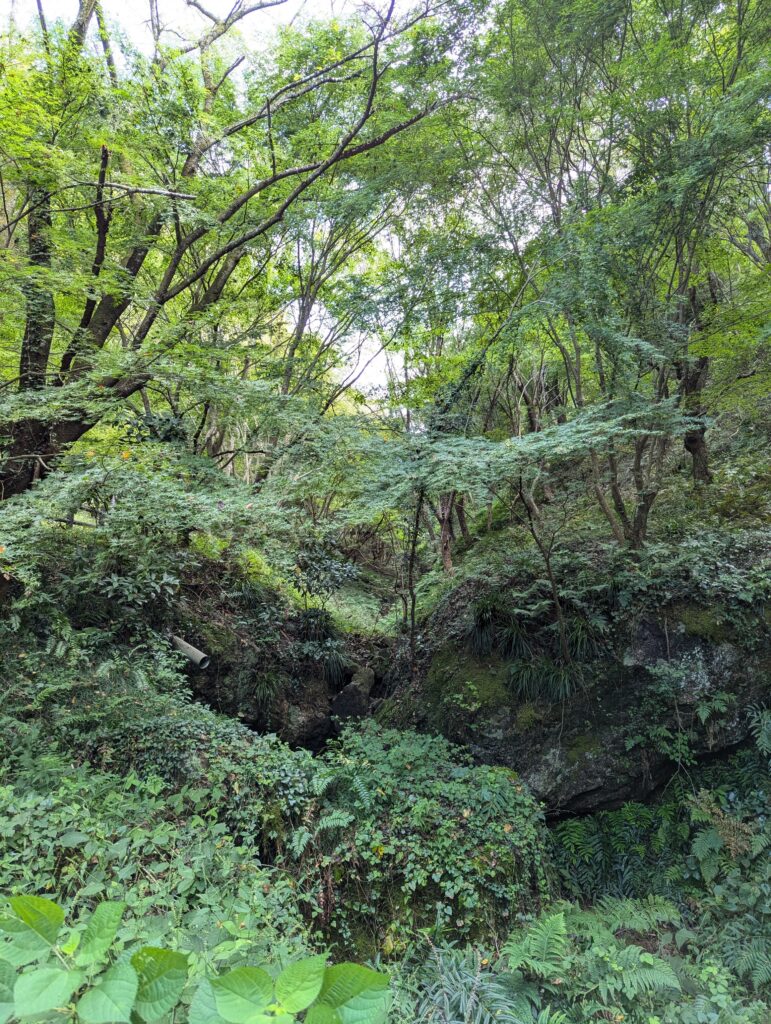 鎌北湖