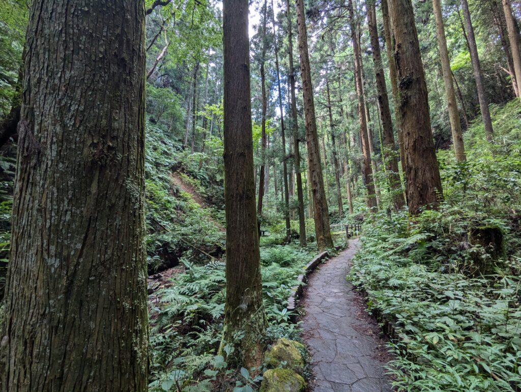 宿谷の滝