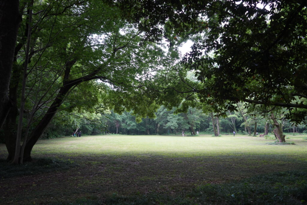 秋ヶ瀬公園