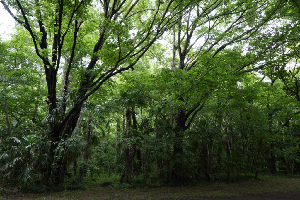 秋ヶ瀬公園