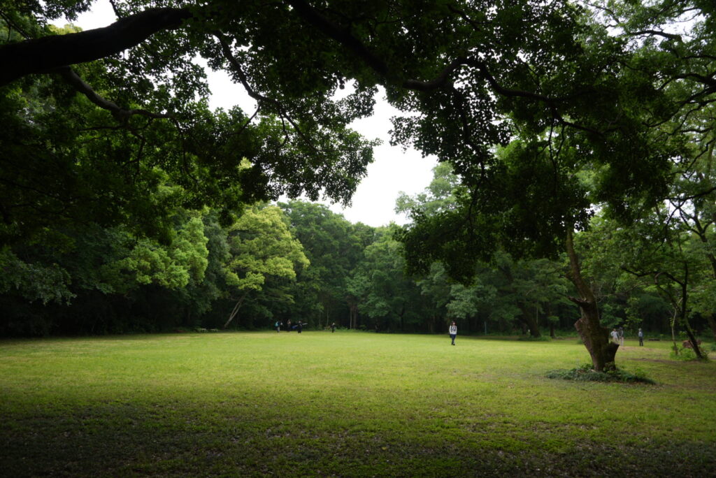 秋ヶ瀬公園
