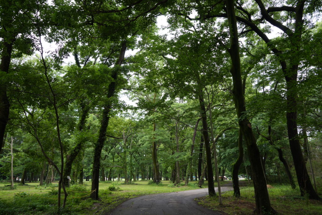 秋ヶ瀬公園