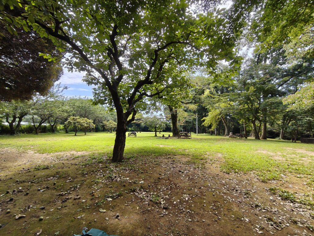 さぎやま記念公園でキャンプレポ