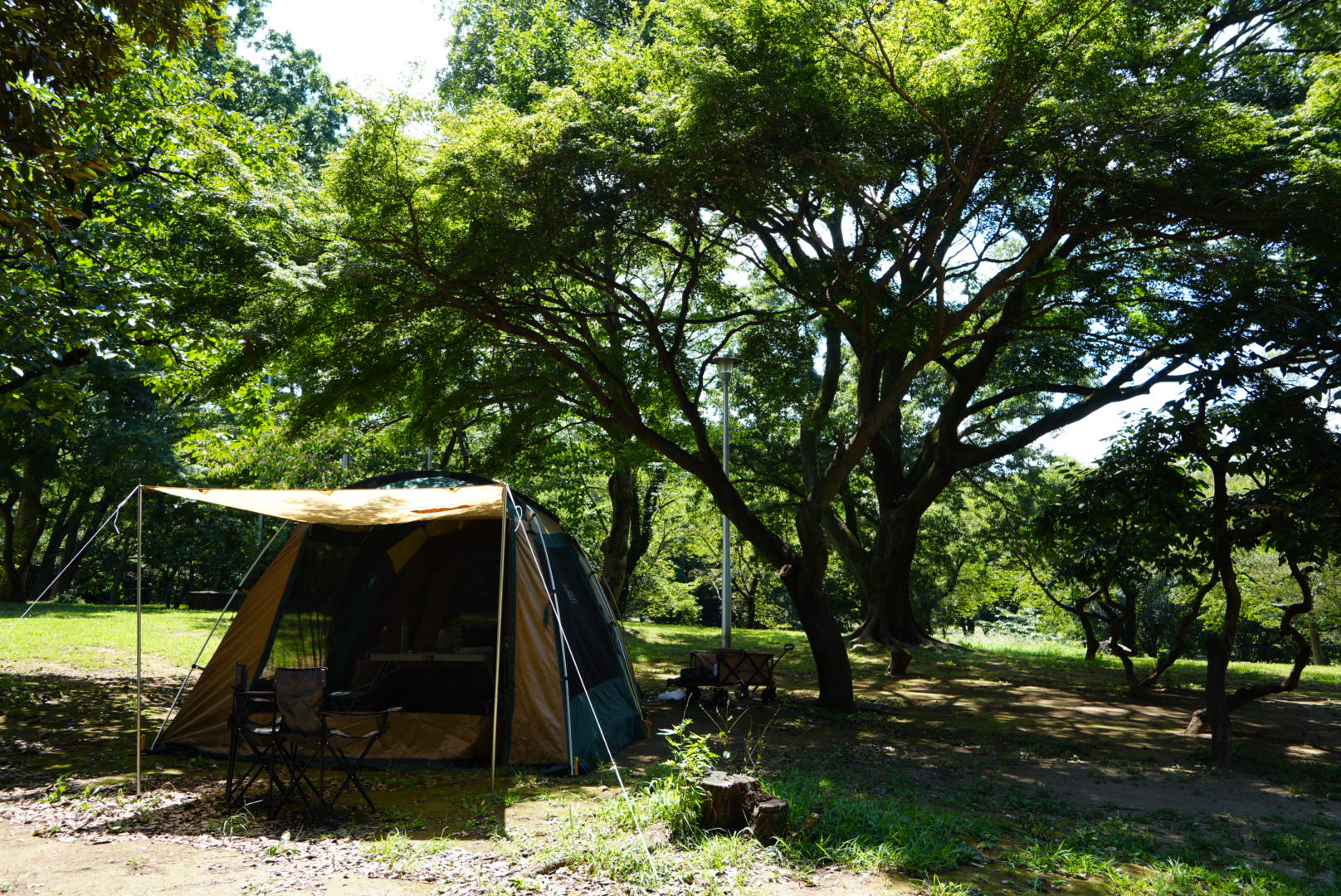 さぎやま記念公園でキャンプレポ