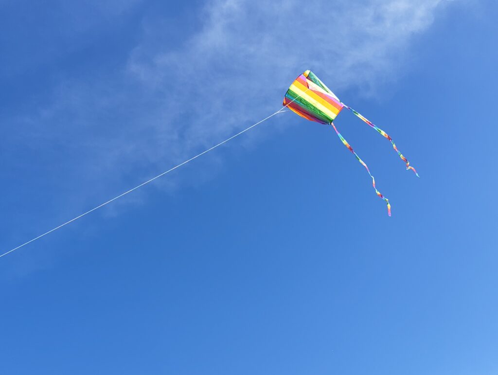 凧揚げたのしいな
