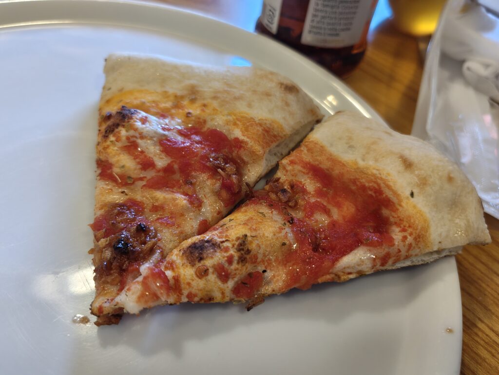 1月24日~26日の日記【ピザ食べ放題に惑わされてはいけない】